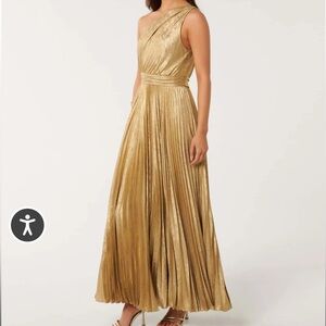 Evernew gold dress with tags